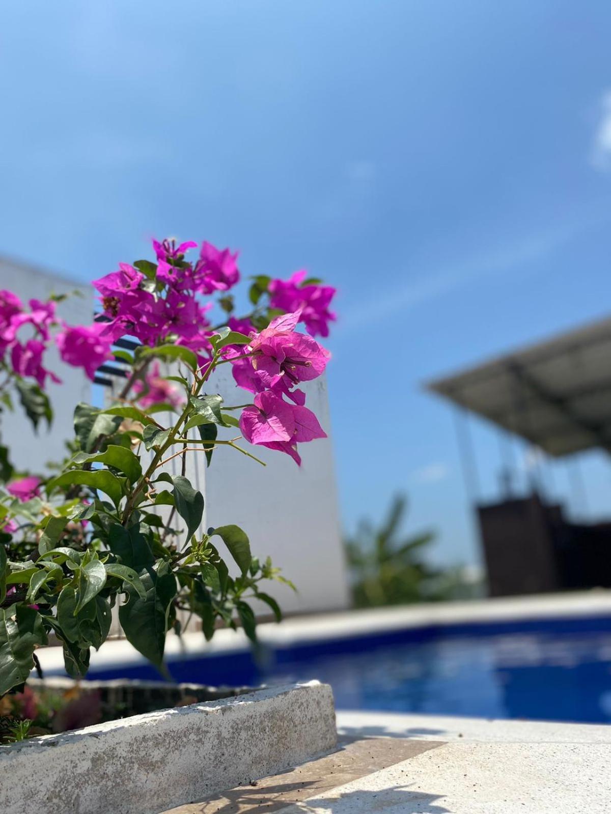 Con Piscina Privada Y Zona Bbq En Villa *
